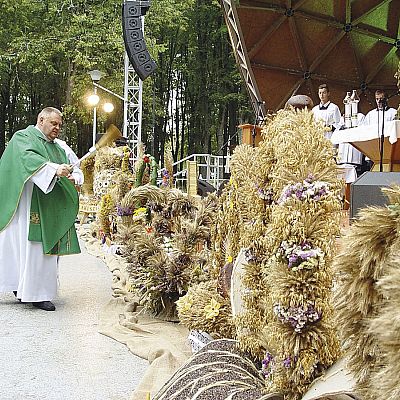 Wileńszczyzna plon wydała
